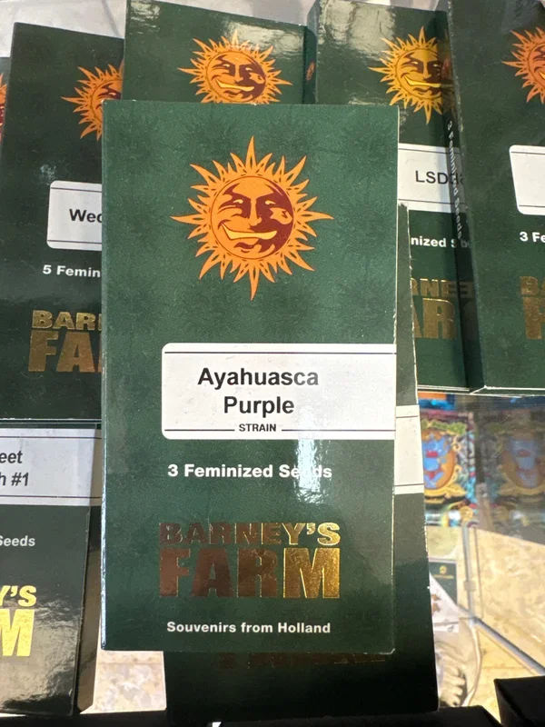 Ayahuasca Purple – Barney’s Farm