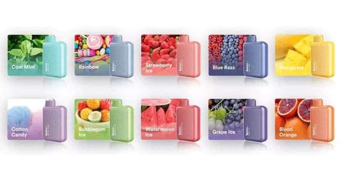 Beco Pro 6000 Puffs Single Disposable