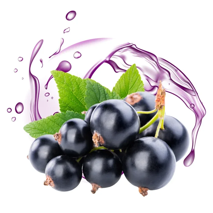Black Currant – DIY Flavor Concentrate