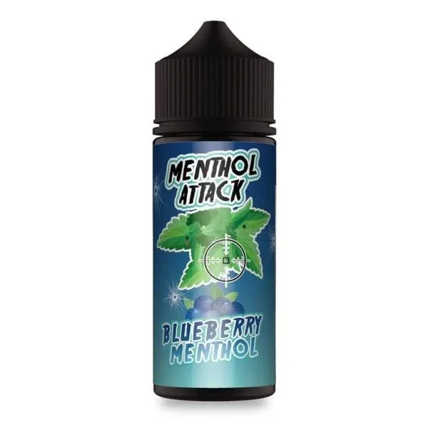 Blueberry Menthol 100ml