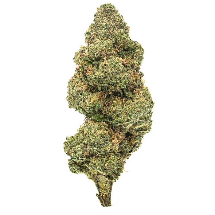 Blueberry Muffin – 28 Grams – Indica