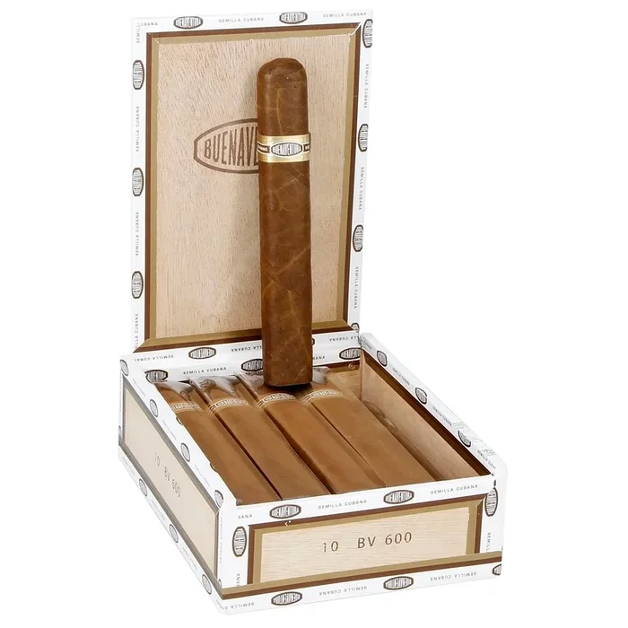Buenaventura 600 – BV 600 : 6 X 60 Gordo
