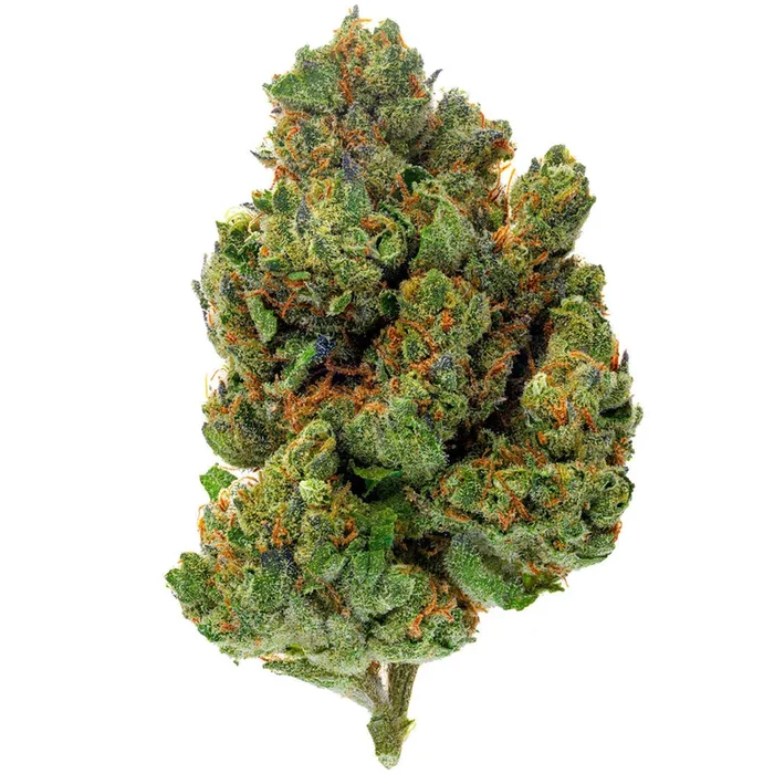 Chocolate Diesel – 28 Grams – Hybrid