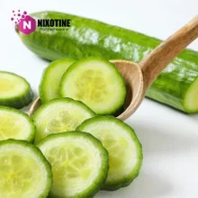 Cucumber Nixotine (Flavored Nixodine) About Nixotine – Flavored Nixodine®     Browse Nixotine® Flavors 🔎︎   Replacement Coils   Vaporizors   Batteries