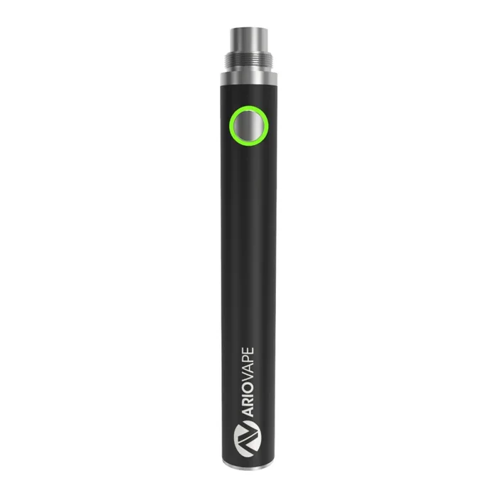 Enduro 1100mAh stick battery