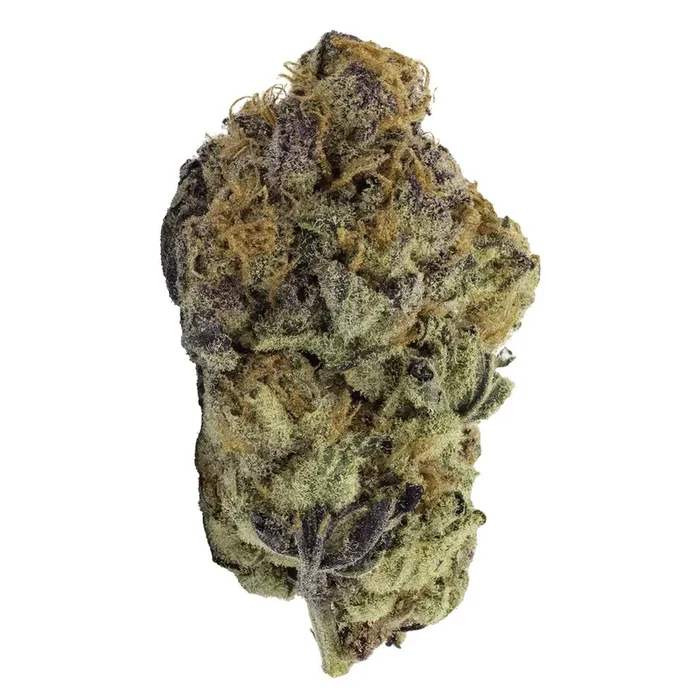 FIGR Go Steady Black Cherry Punch