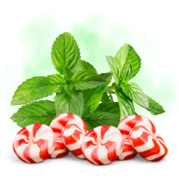 Freshen Up – DIY Flavor Concentrate