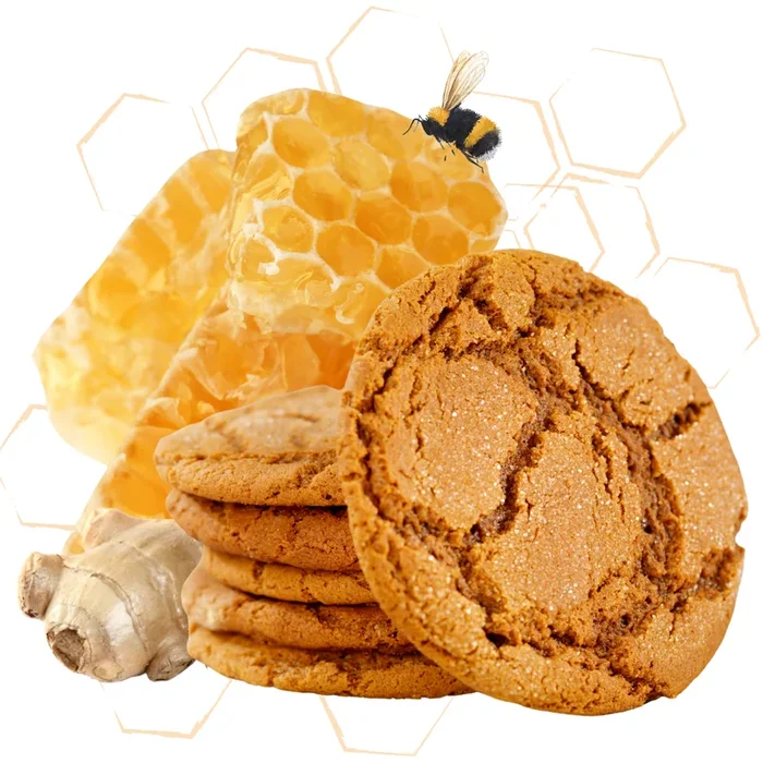 Ginger Cookie – DIY Flavor Concentrate