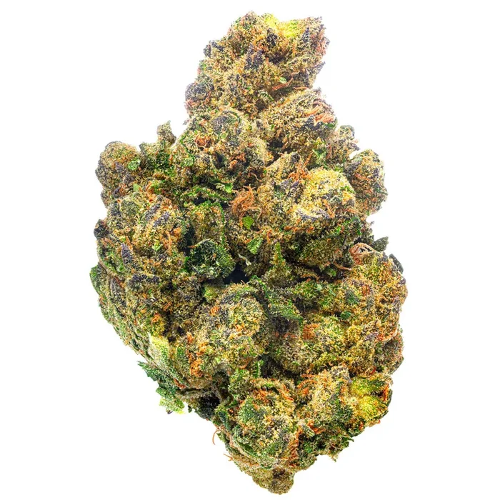 Guava Lato – 28 Grams – Hybrid