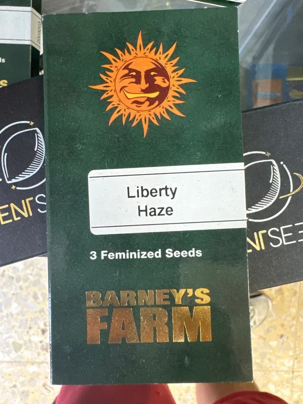 Liberty Haze – 3 Semi Femminizzati – Barney’s Farm