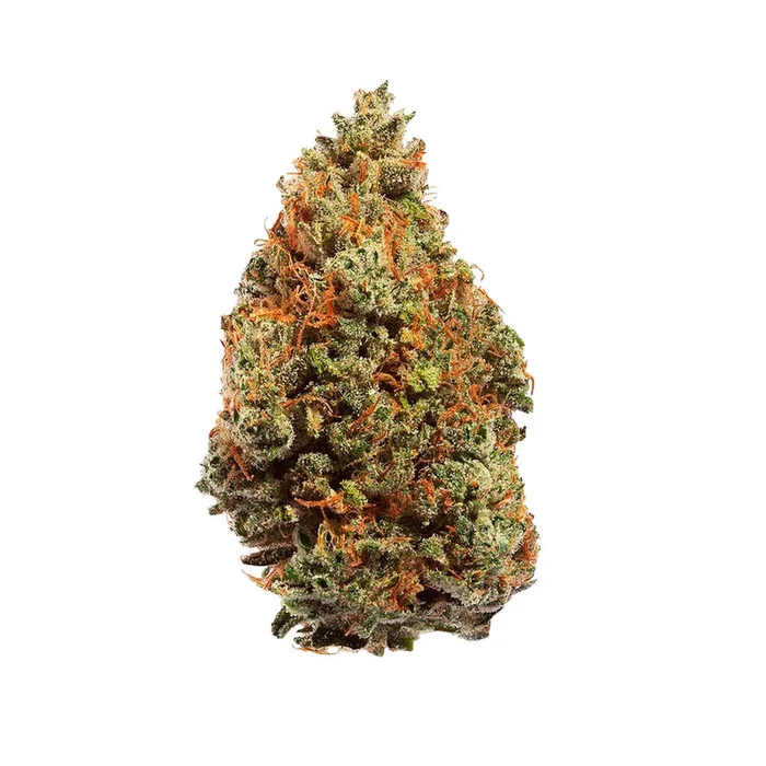 MBR Doja Okanagan Grown Dried Kush