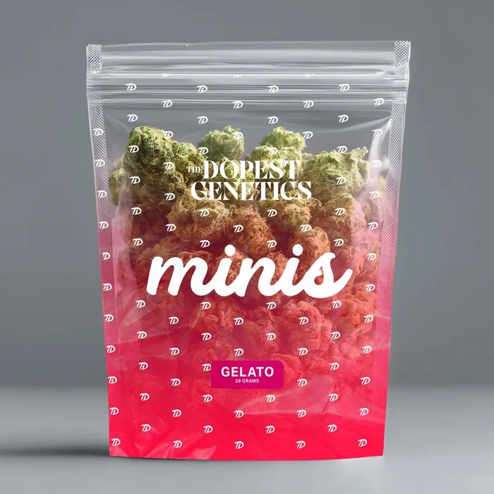 MINIS Gelato Hybrid Flower 28 grams