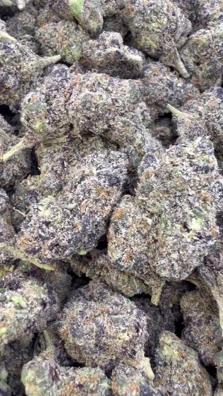 Purple Cookies – Bulk- Hybrid