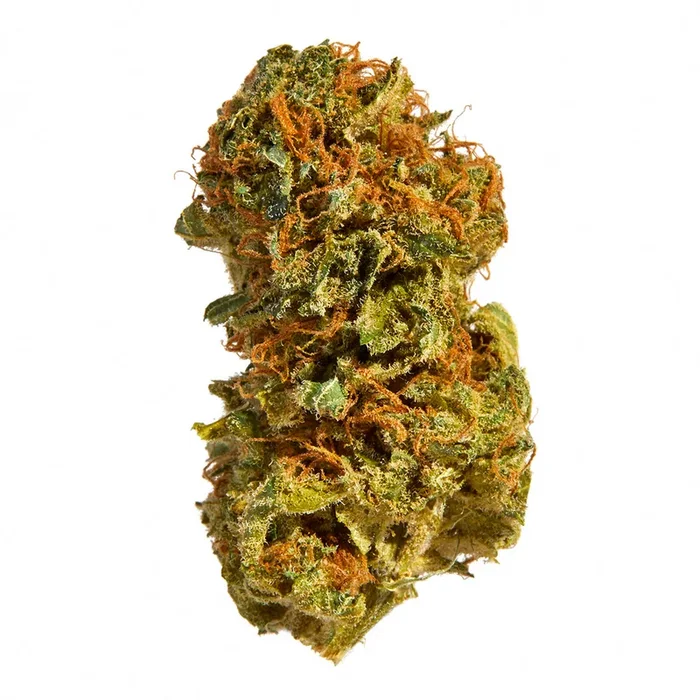 Royal High Northern Lights