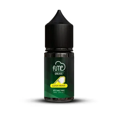 Salt Lush Mint 30ml E-Juice | FUME