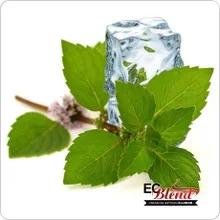 Spearmint (E-Liquid TFE) Tobacco-Free · Nicotine Free(E-Liquid TFE products are not tobacco products) Tobacco-Free · Nicotine Free(E-Liquid TFE products are not tobacco products) 🔎︎ Replacement Coils Vaporizors Batteries