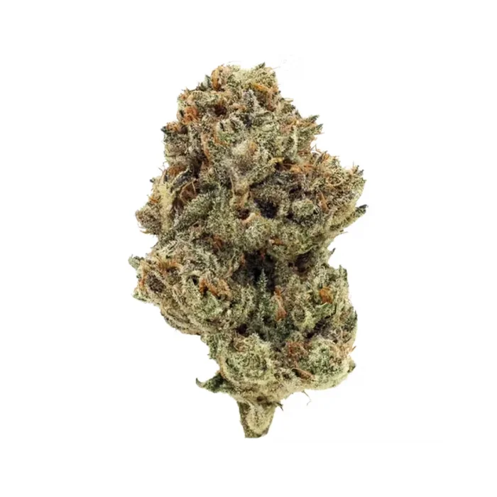 Staycation Dreamline Flower 3.5g