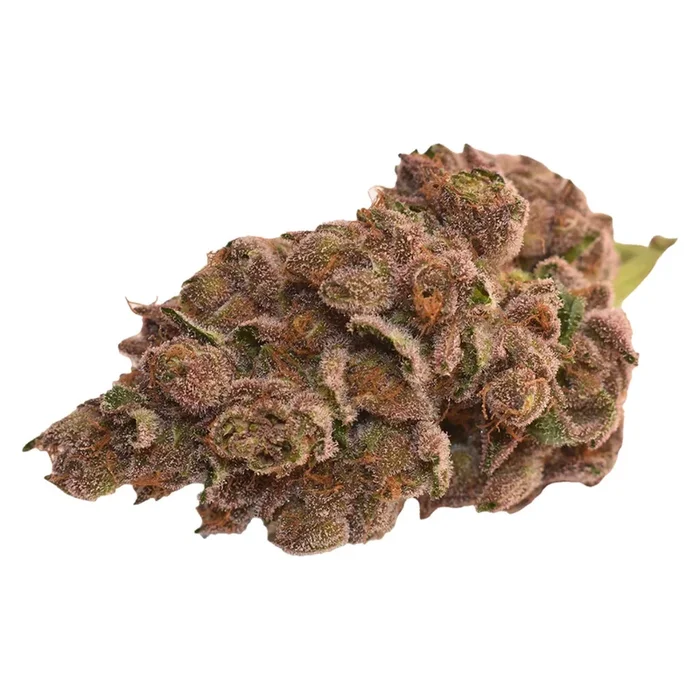 Thumbs Up Day & Night Flower