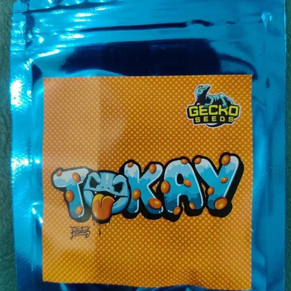 Tokay x 3 – Gecko Seeds