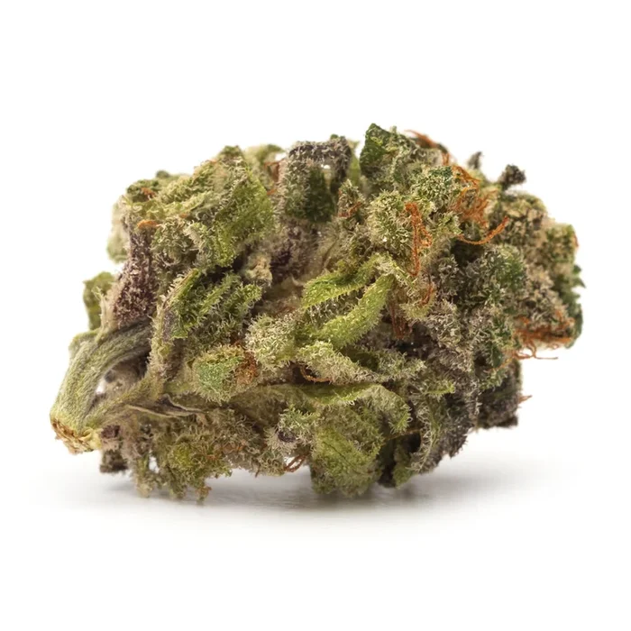 TWD. Sativa