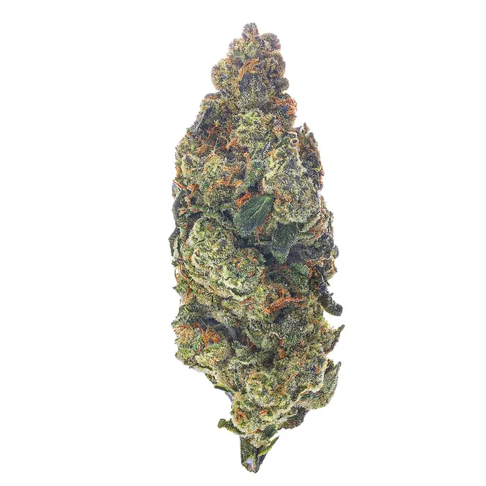 White Gushers – 28 Grams – Hybrid
