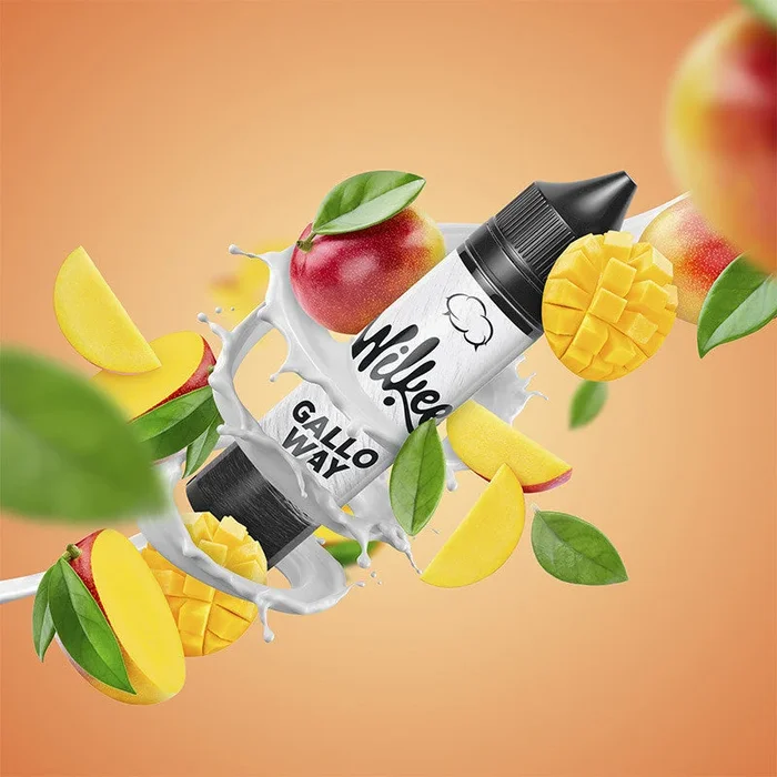 WILKEE GALLO WAY – ELIQUID FRANCE