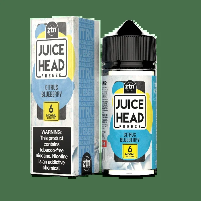 ZTN Freeze – Citrus Blueberry 100ML